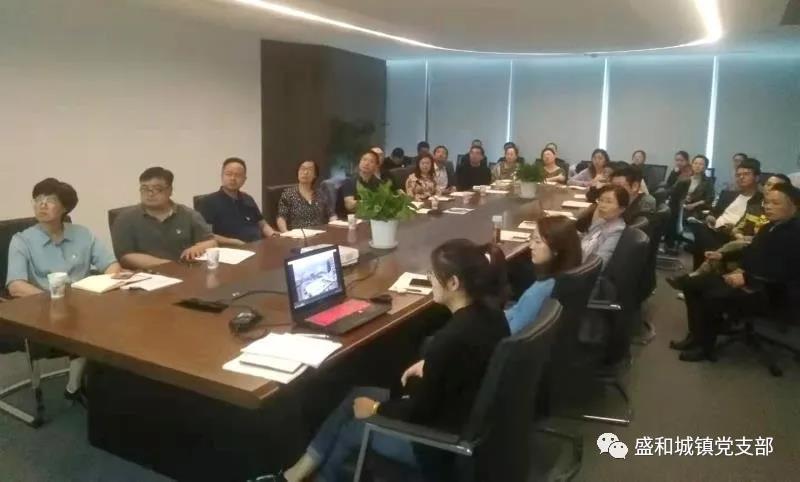 盛和城镇党支部开展“5�10”思廉日主题党日活动.jpg